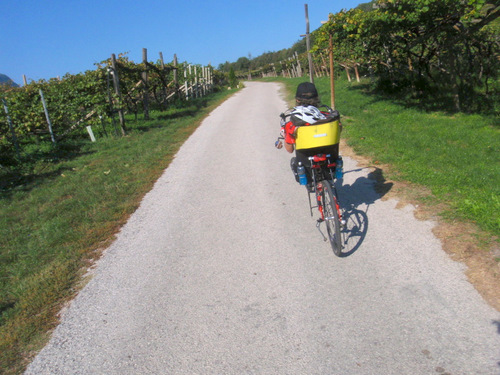 Strada del Vino.